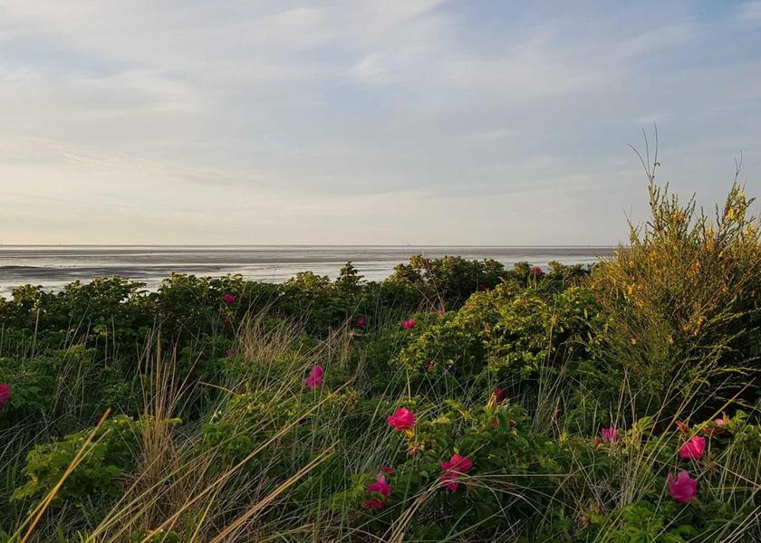 Lower Saxony Cuxhaven Surrounding environment