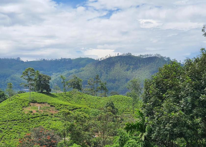 Uva Province Ella View