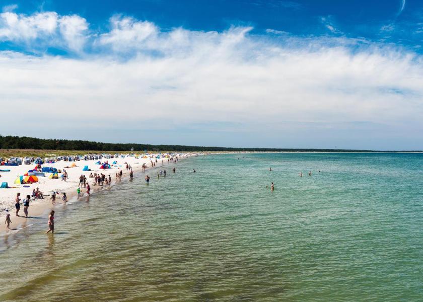 Mecklenburg-West Pomerania Ostseebad Prerow Surrounding environment