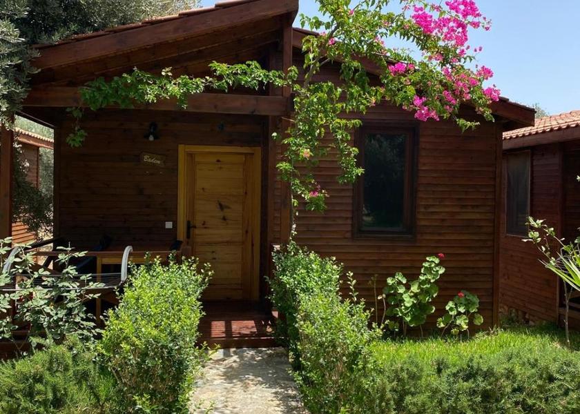 Muğla Datça 