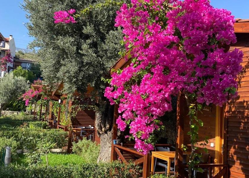Muğla Datça 
