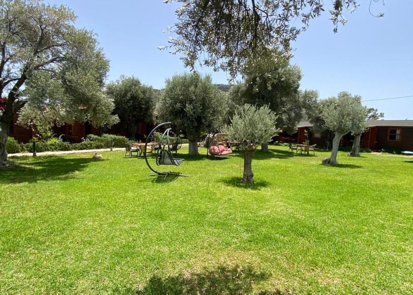 Muğla Datça 