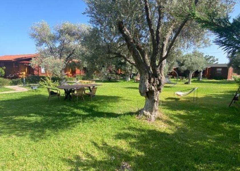 Muğla Datça 