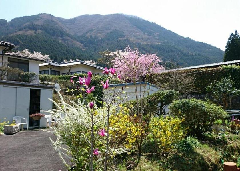Oita Yufu 