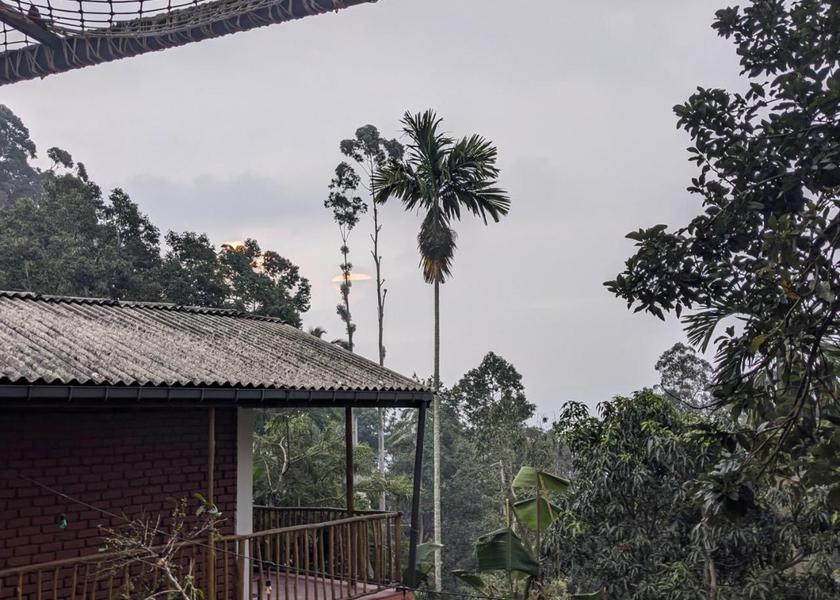 Uva Province Ella 