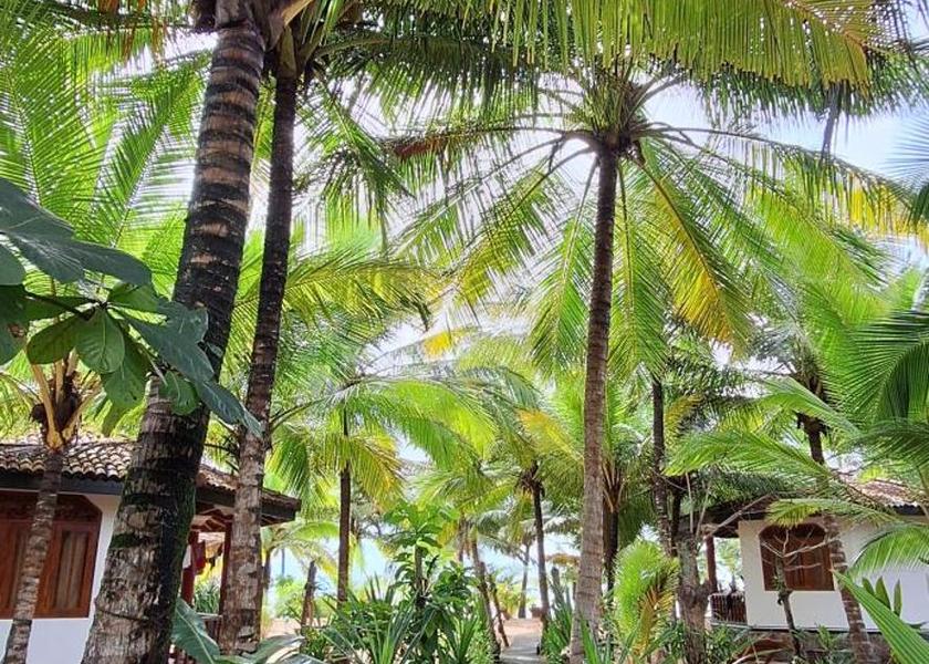 Southern Province Tangalle Garden