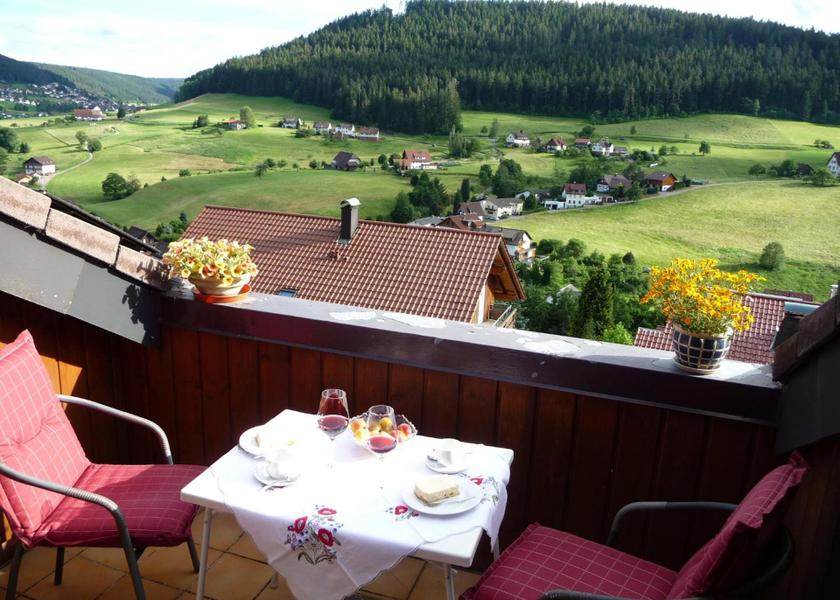 Baden-Württemberg Baiersbronn Surrounding environment