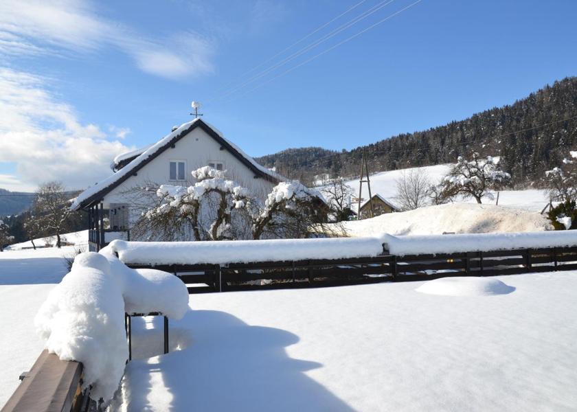 Carinthia Feldkirchen in Kaernten 