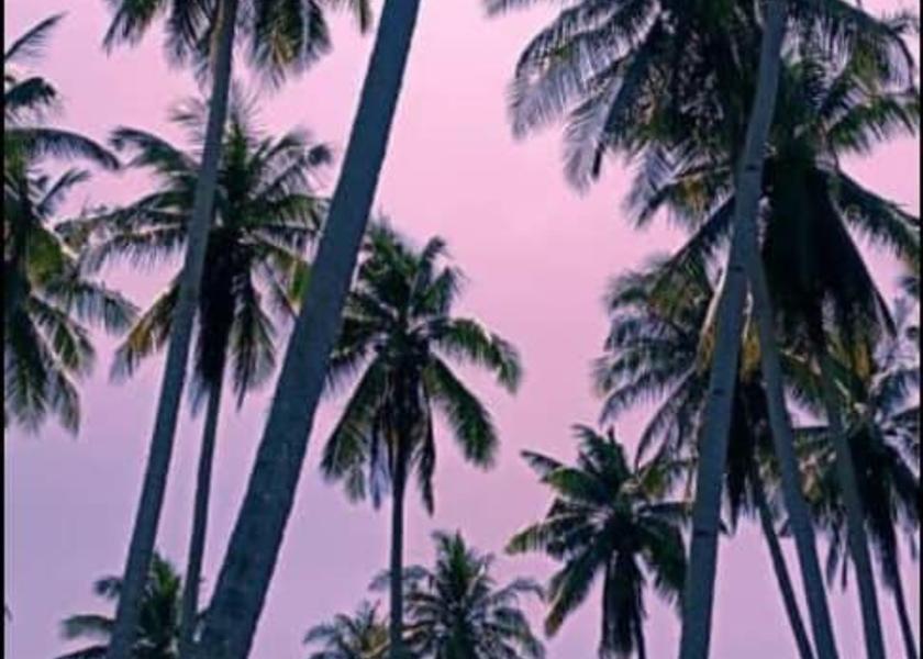 Terengganu Marang 