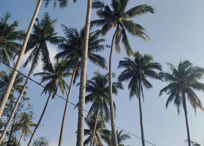 Terengganu Marang 