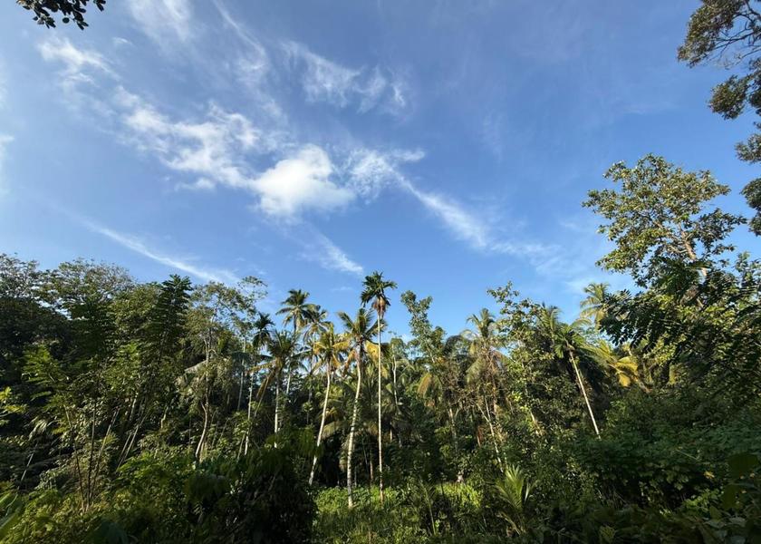 Southern Province Wanchawala Nearby attraction