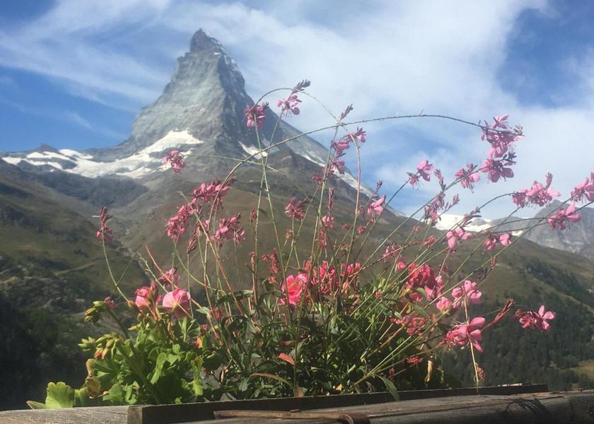 Valais Zermatt Surrounding environment
