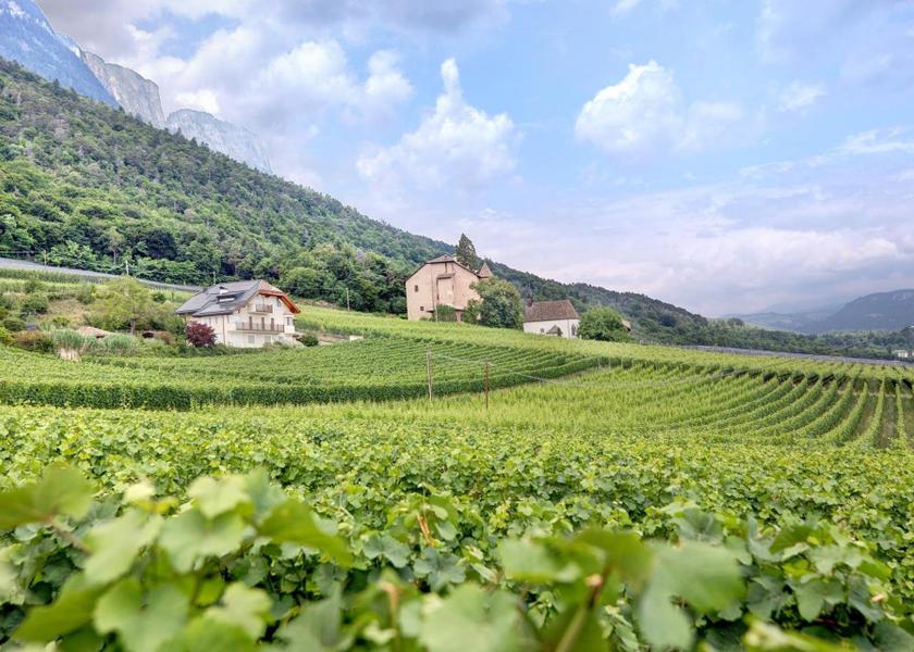 Trentino-Alto Adige Appiano Sulla Strada del Vino Exterior view