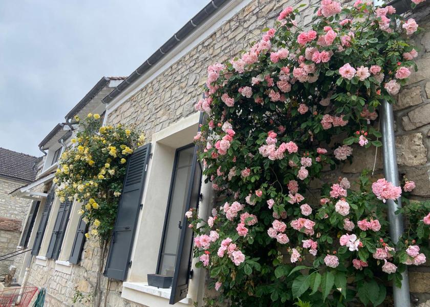 Île-de-France Bourron-Marlotte 