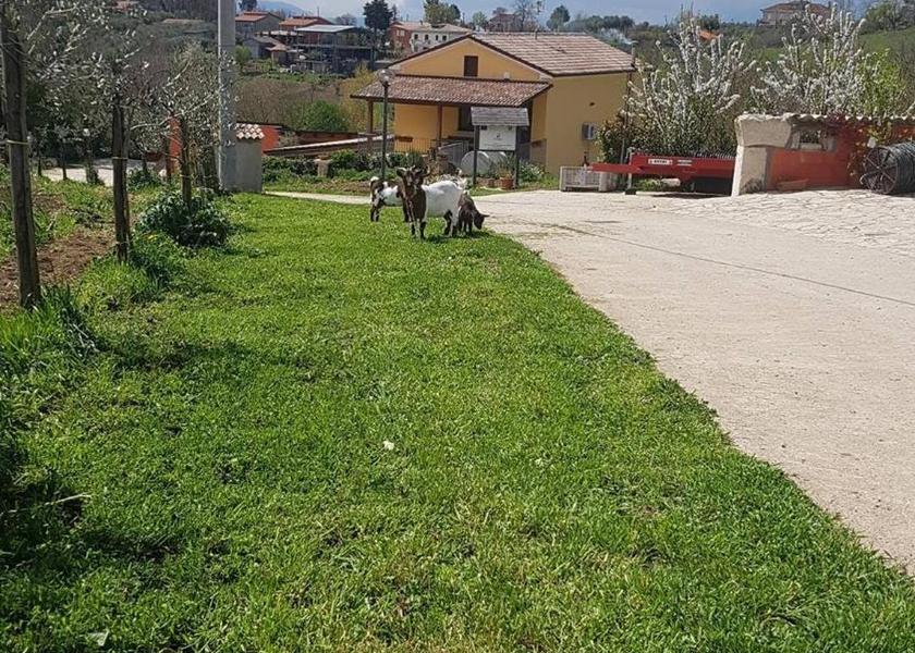 Campania Ariano Irpino Surrounding environment