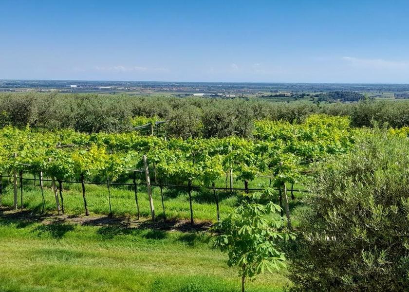 Veneto Colognola ai Colli Surrounding environment