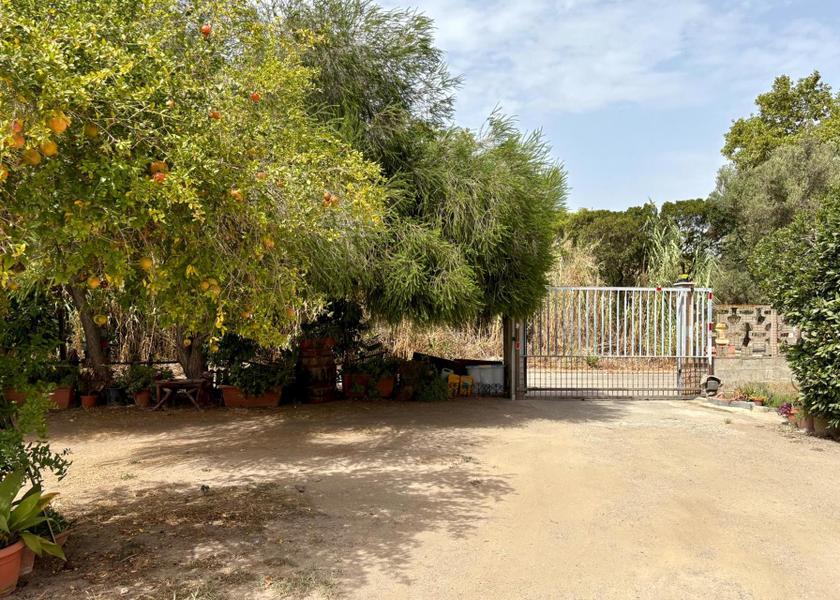 Sardinia Cabras Garden
