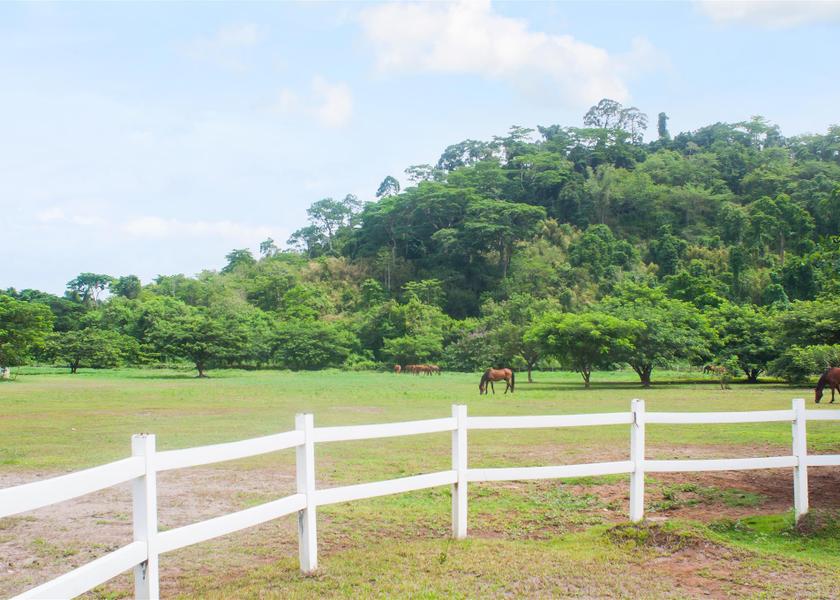 Central Luzon Mabalacat City 