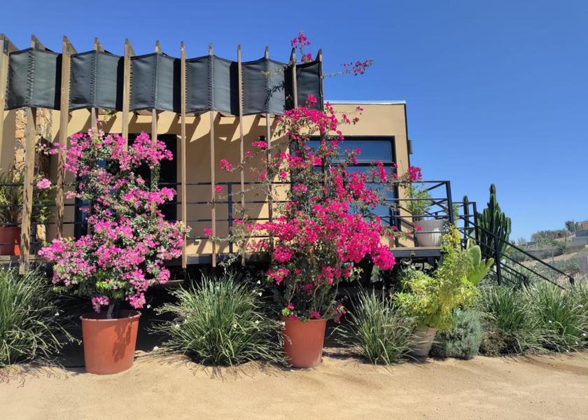 Baja California Valle de Guadalupe 