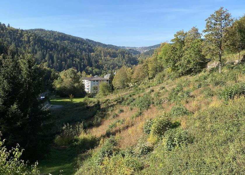 Baden-Württemberg Triberg im Schwarzwald 