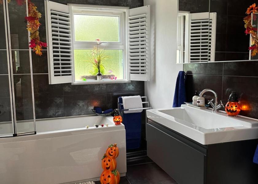 Northern Ireland Ballynahinch Superior Apartment with Sauna