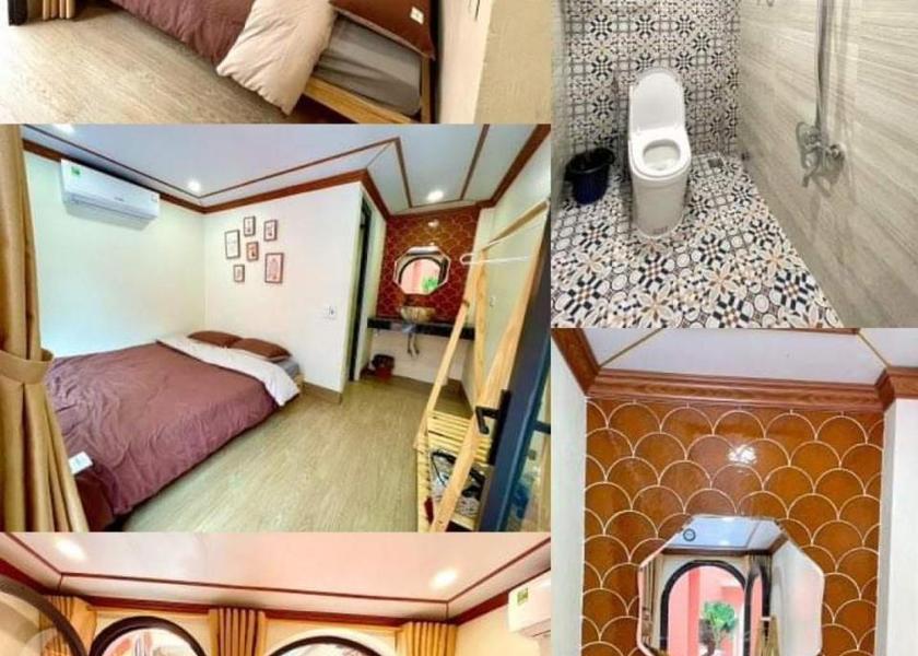 Phu Tho Province Tam Dao Bathroom