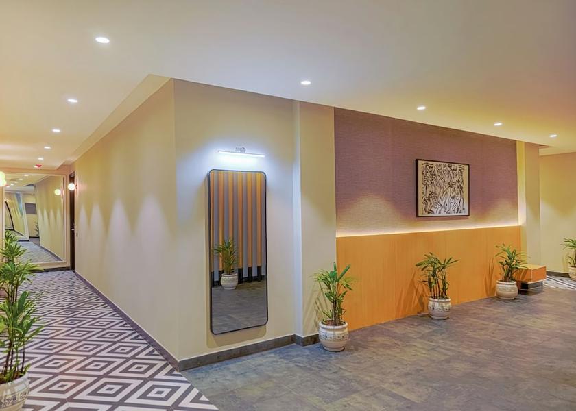 Punjab Mohali Lobby