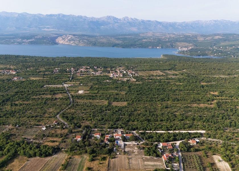 Zadar Novigrad Aerial view