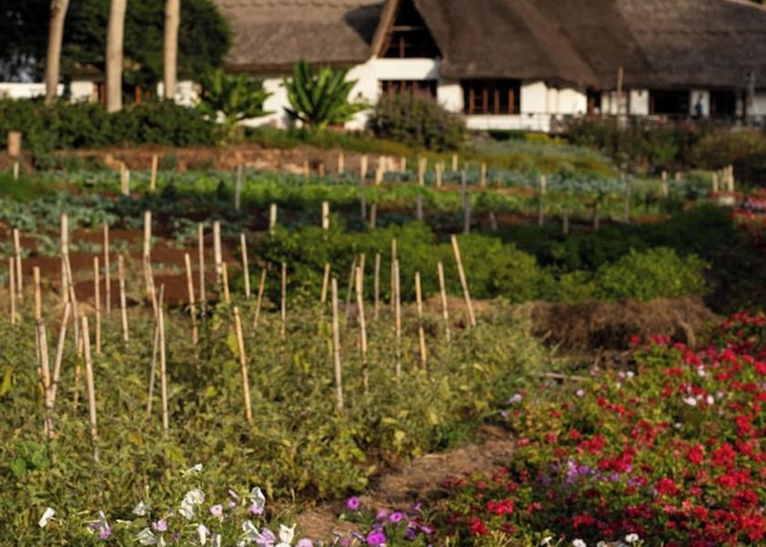 Arusha Region Karatu Garden