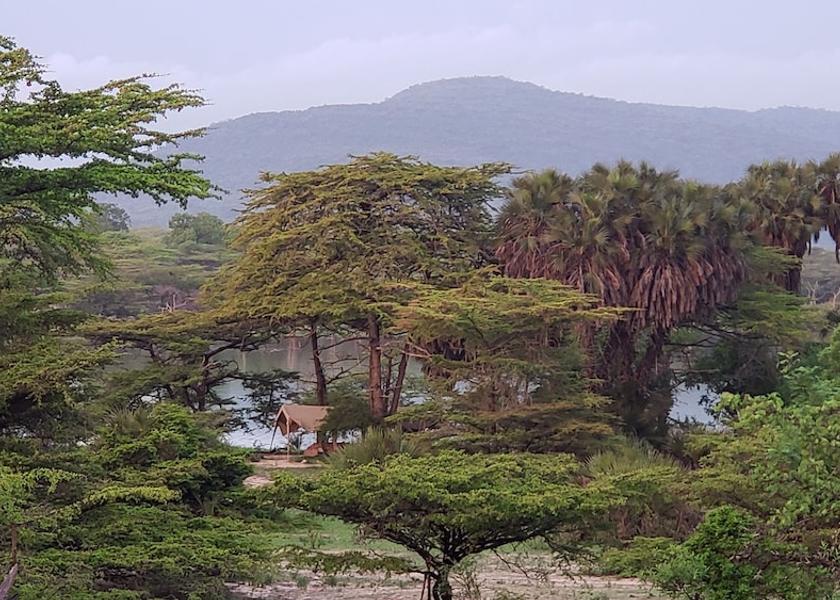 Selous Game Reserve Lake view