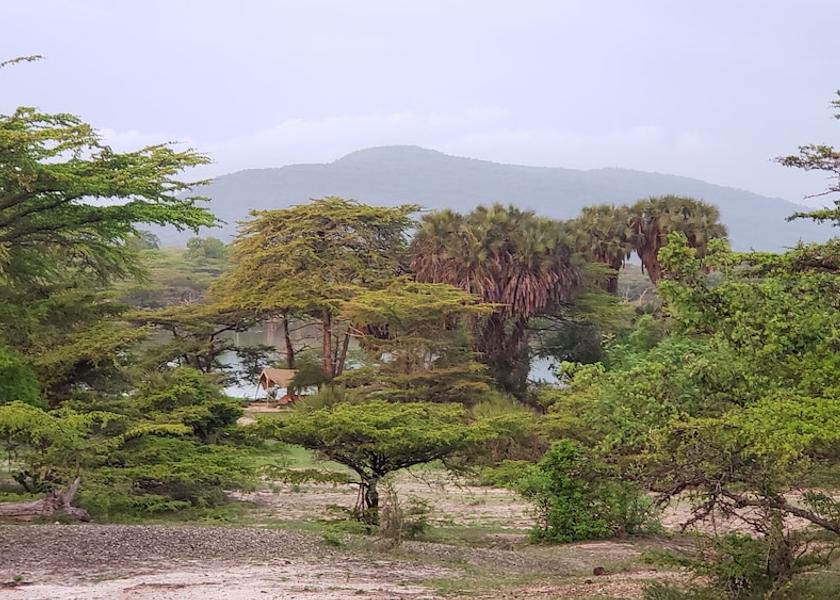  Selous Game Reserve Front of property