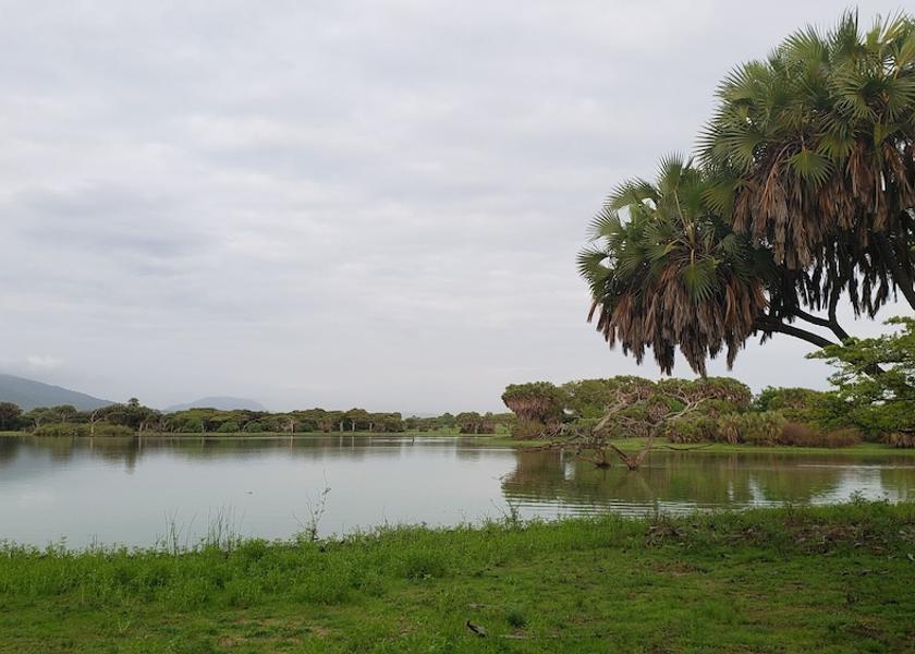  Selous Game Reserve Front of property