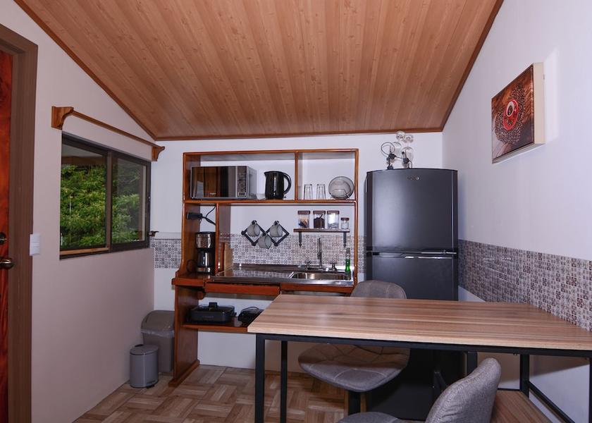 Puntarenas Province Monteverde Private kitchen