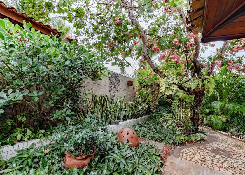 Bahia State Mata de São João Garden