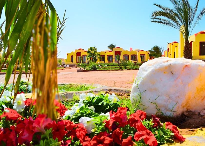 Red Sea Governorate Marsa Alam Garden