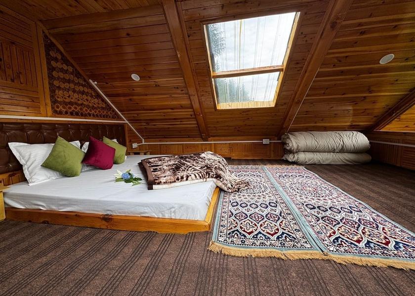 Himachal Pradesh Jibhi Room