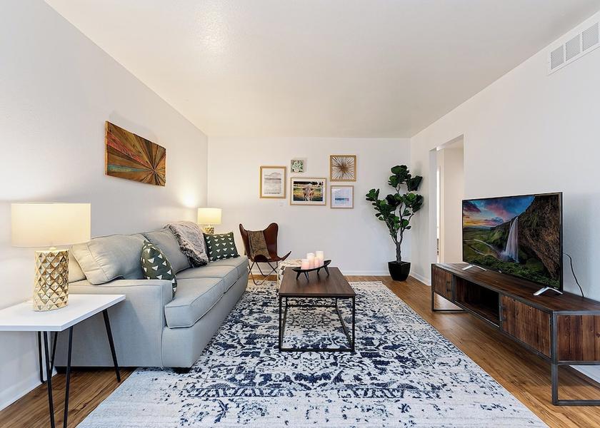 Colorado Fort Collins Living area