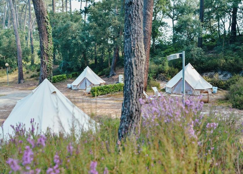 Nouvelle-Aquitaine Seignosse Property grounds