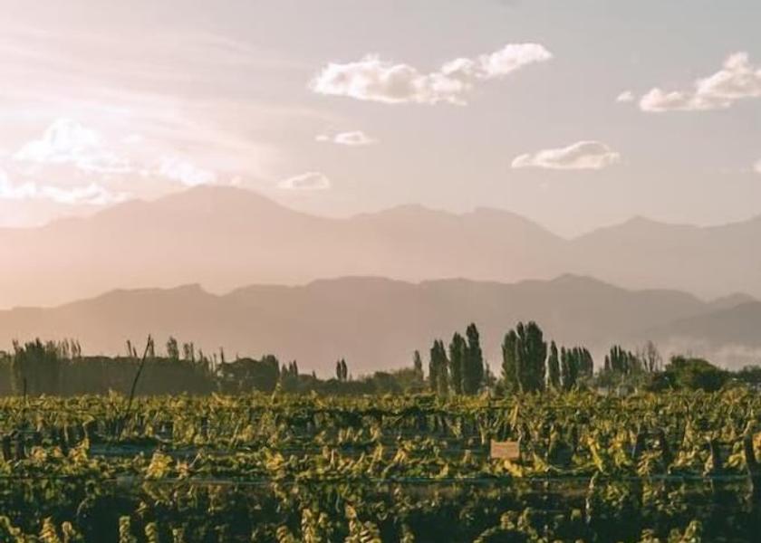 Mendoza Province Luján de Cuyo View from property