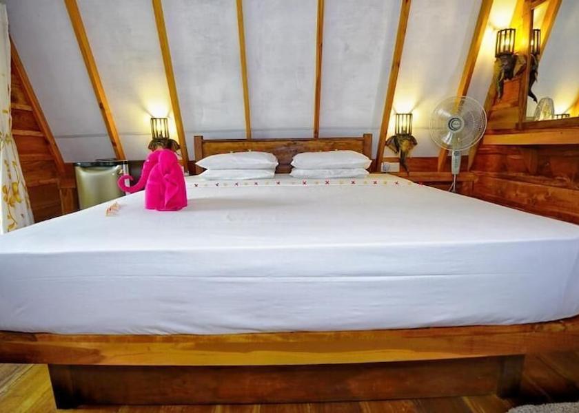 Central Province Sigiriya Room
