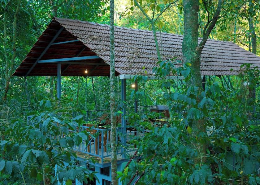 Kerala Periyar Primary image