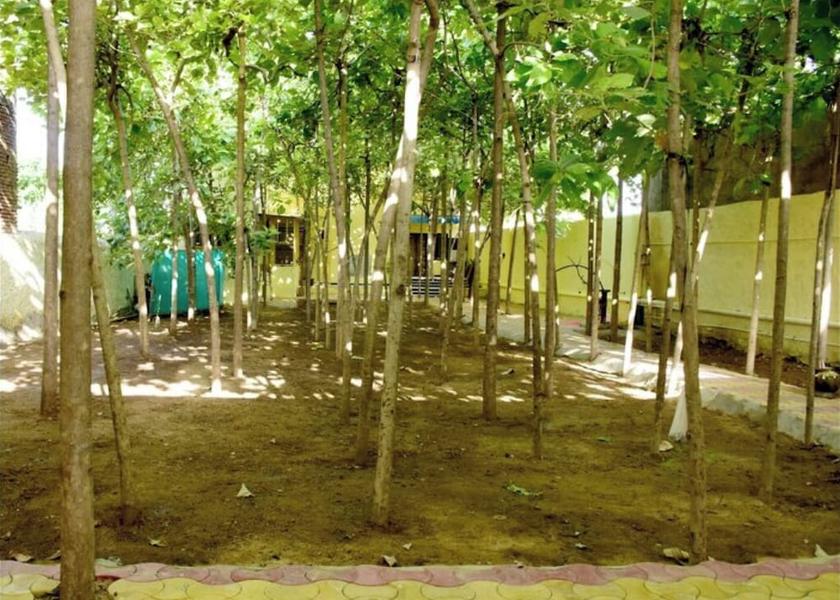 Rajasthan Bijapur Property grounds