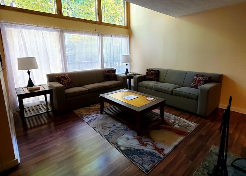 Tennessee Gatlinburg Living room