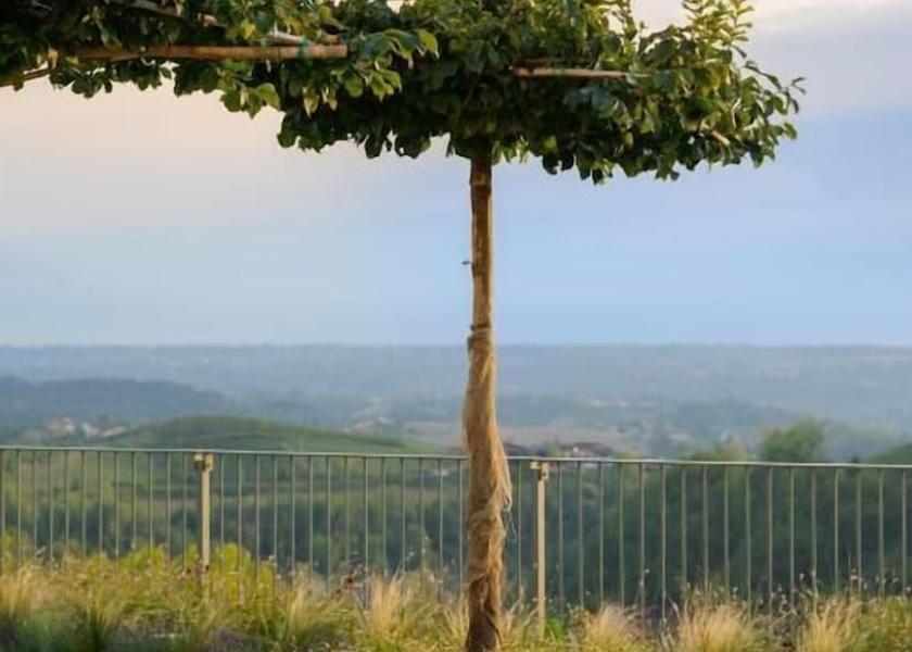 Piedmont Monforte d'Alba Property grounds