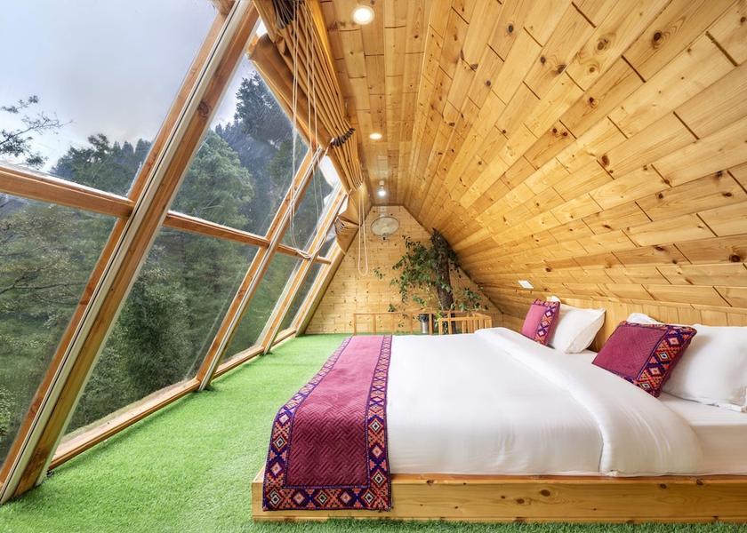 Himachal Pradesh Jibhi Room