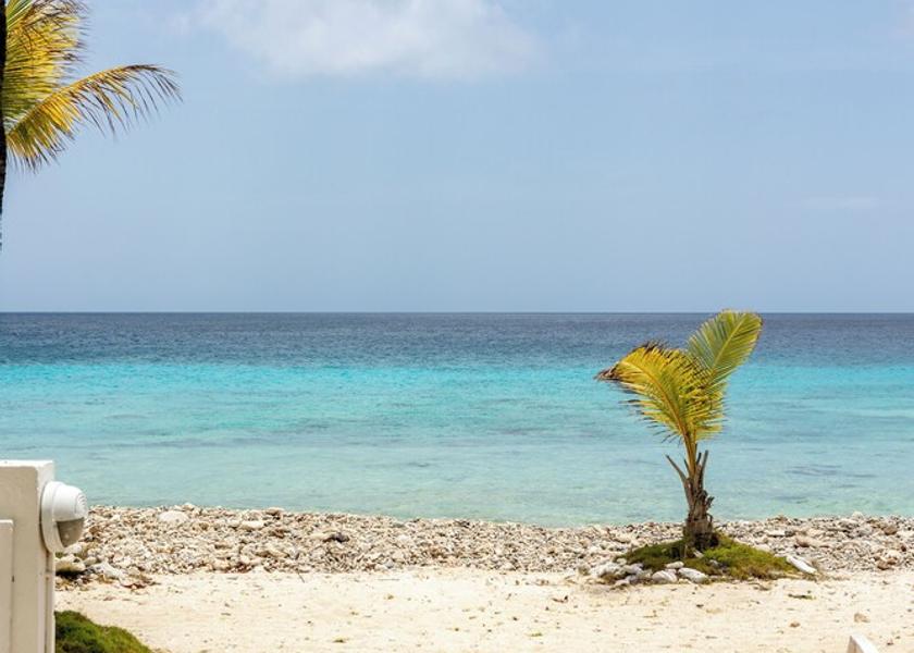 Bonaire Kralendijk Beach/ocean view