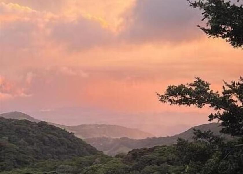 Puntarenas Province Monteverde Miscellaneous