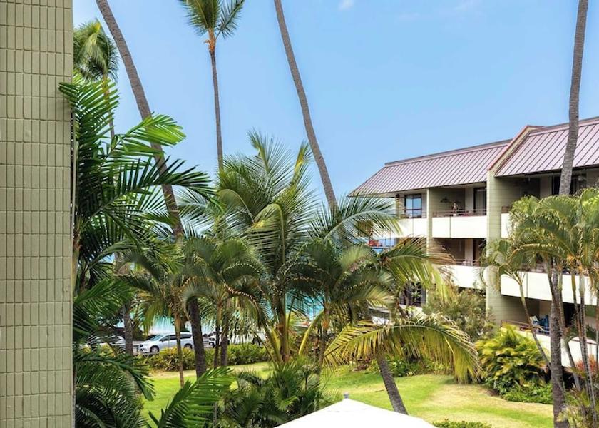 Hawaii Kailua-Kona Property grounds