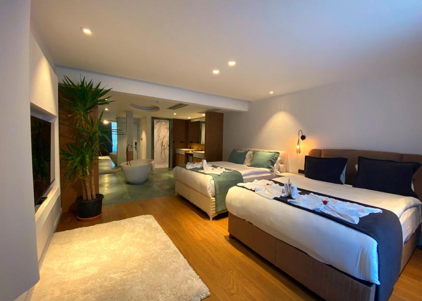 Antalya Region Antalya Deluxe - 2 Beds