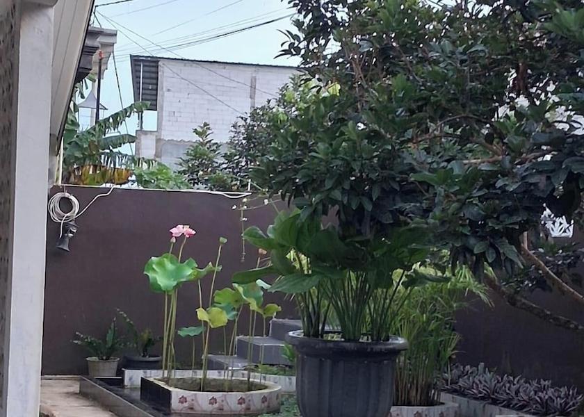 West Java Megamendung Property grounds